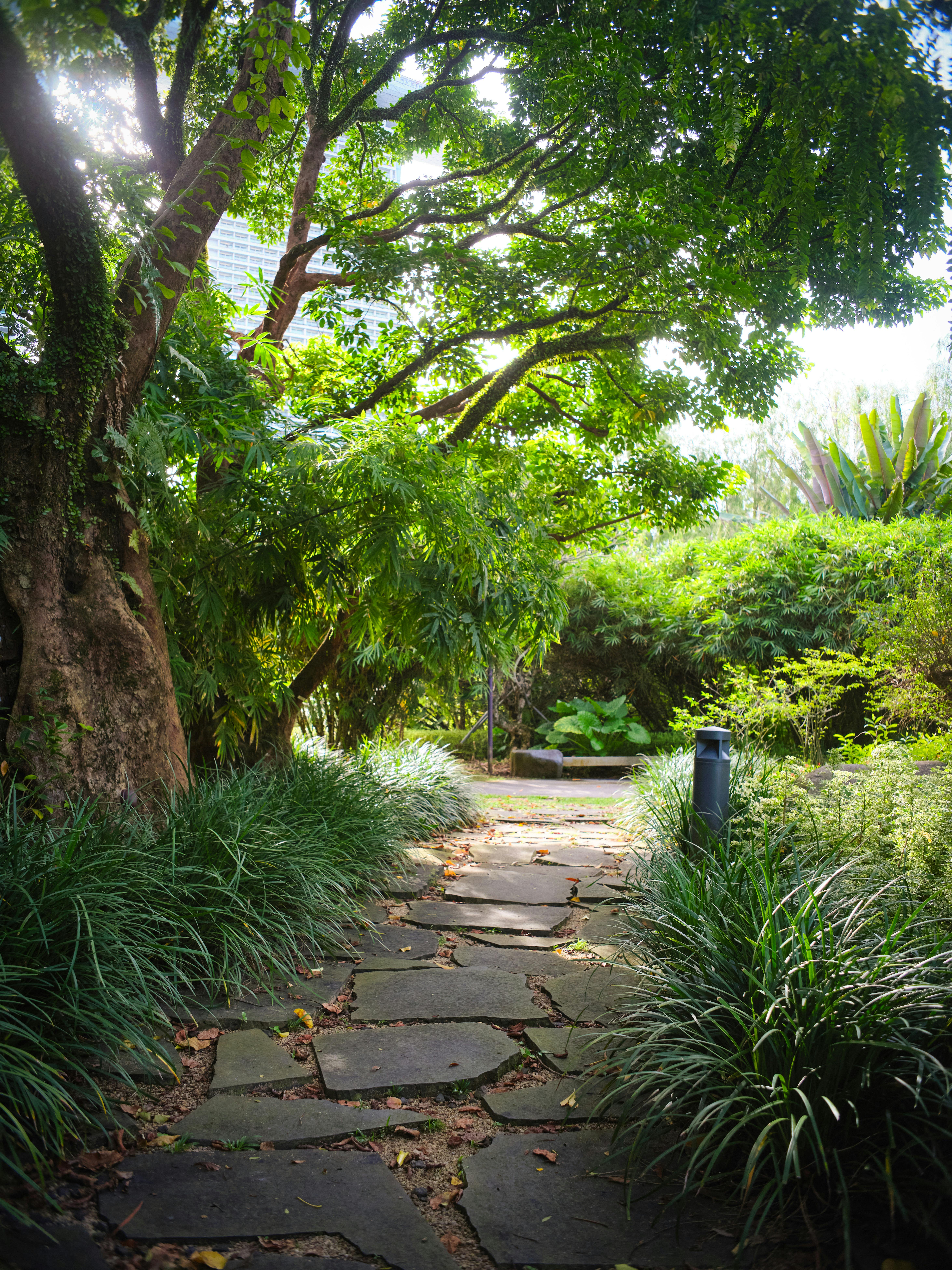 A stone path winding through a lush garden canopy — the serenity garden at Denver Psilocybin Sanctuary